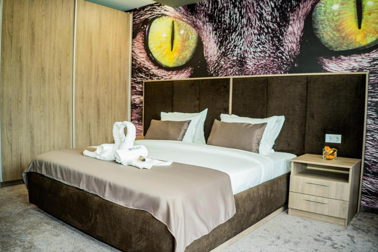 Impuls Hotel Vidin Extérieur photo